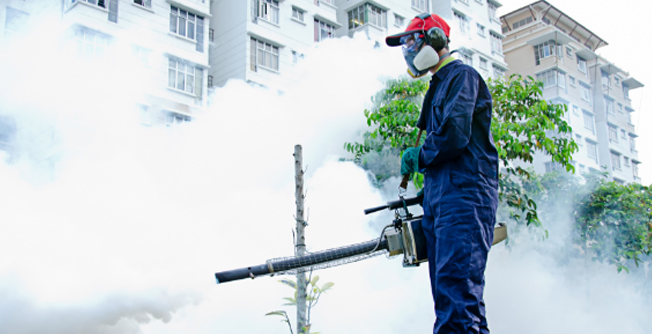 Domestic Pest Control