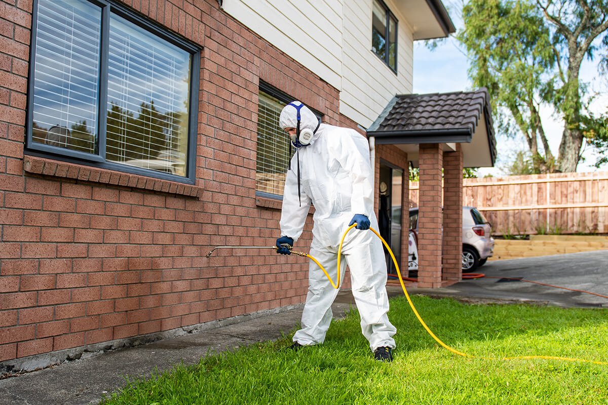 Ecosan-Pest-control-exterior-ants-01