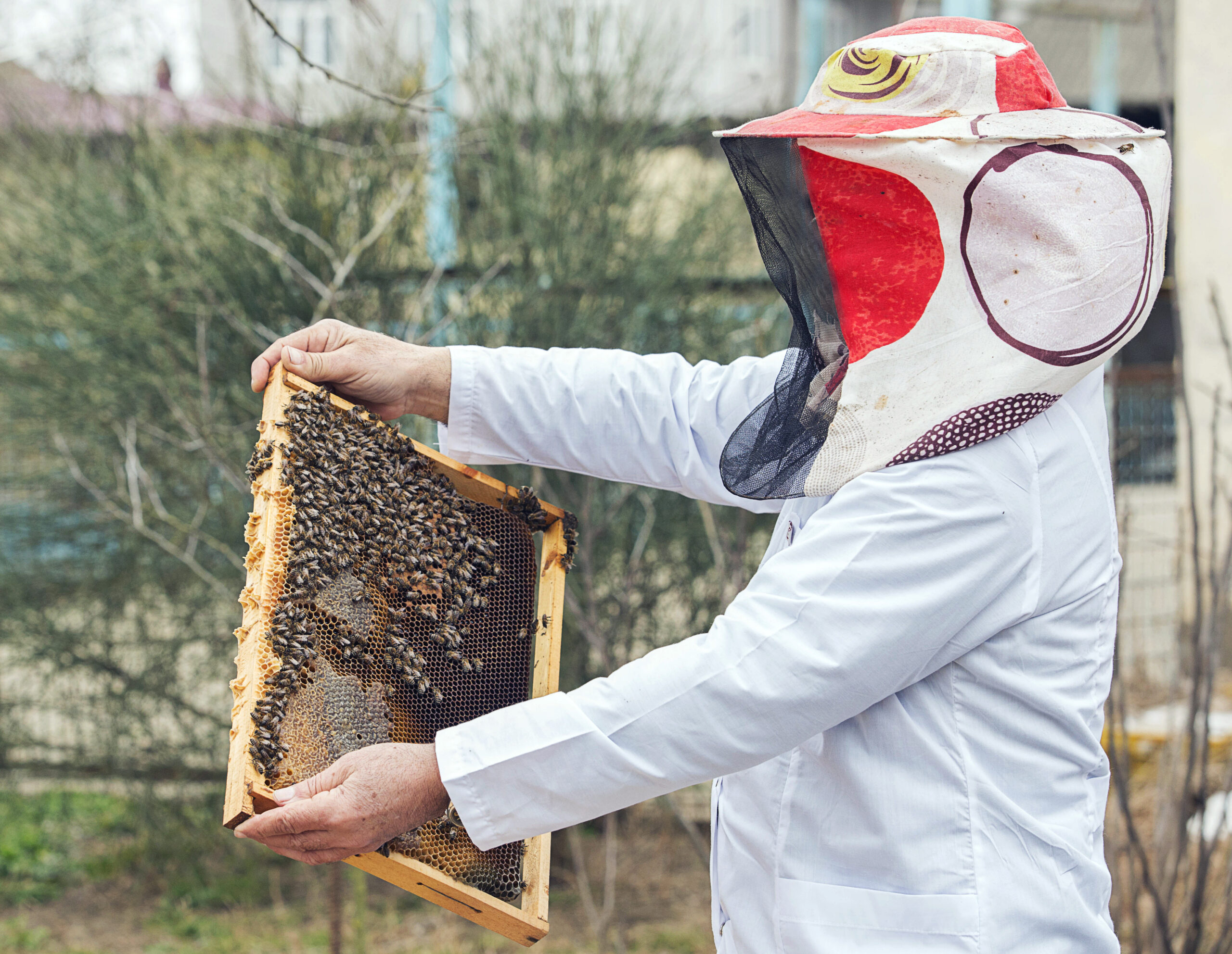 Honey Bee Pest Control Honey Bee Pest Control near me Honey Bee Pest Control in dubai Honey Bee Pest Control price in dubai honey bee removal pest control in dubai Honey Bee Pest Control service Honey Bee Pest Control in Sharjah Honey Bee Pest Control in Ajman Honey Bee Pest Control<br />
Honey Bee Pest Control near me<br />
Honey Bee Pest Control in dubai<br />
Honey Bee Pest Control price in dubai<br />
honey bee removal pest control in dubai<br />
Honey Bee Pest Control service<br />
Honey Bee Pest Control in Sharjah<br />
Honey Bee Pest Control in Ajman<br />