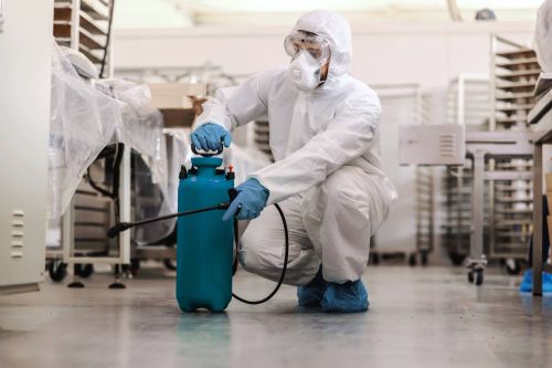 best-pest-control-service-1756710137-8228803