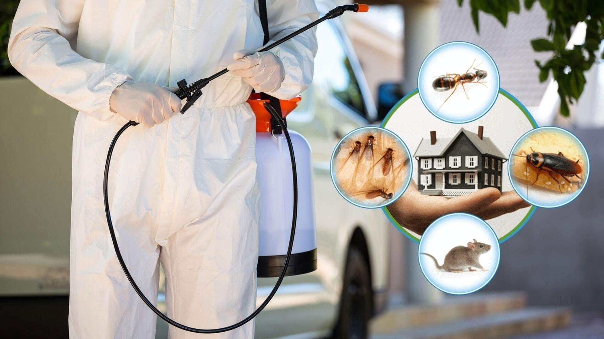pest-management-services
