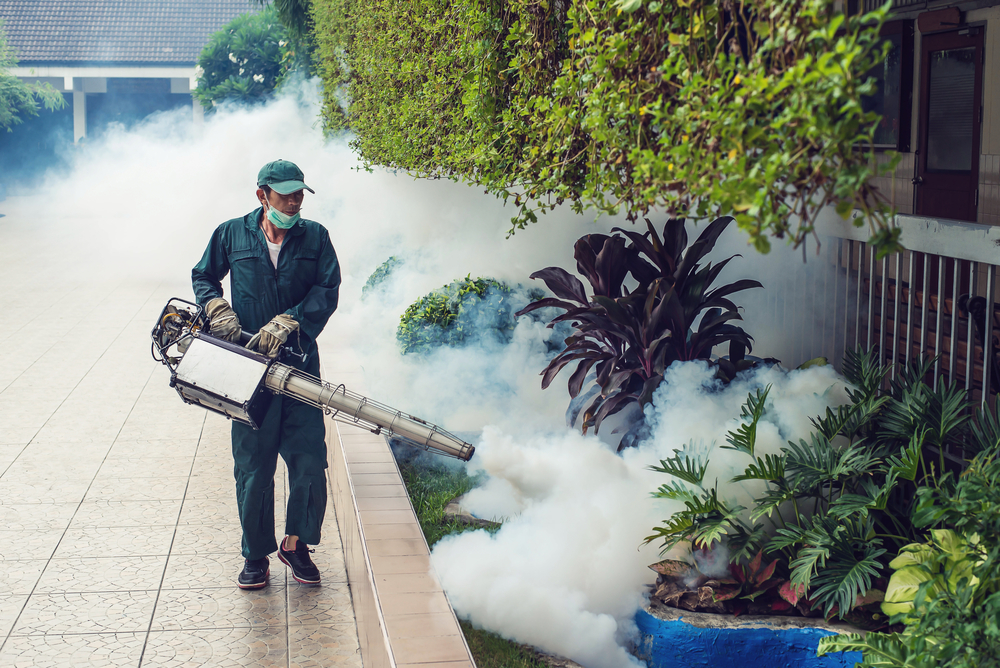 Mosquito Control mosquito control services mosquito control services in Dubai mosquito control services in Sharjah mosquito control services in Ajman Mosquito Control<br />
mosquito control services<br />
mosquito control services in Dubai<br />
mosquito control services in Sharjah<br />
mosquito control services in Ajman<br />
